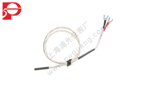 WRNK-231鎧裝熱電偶的工作原理及特點